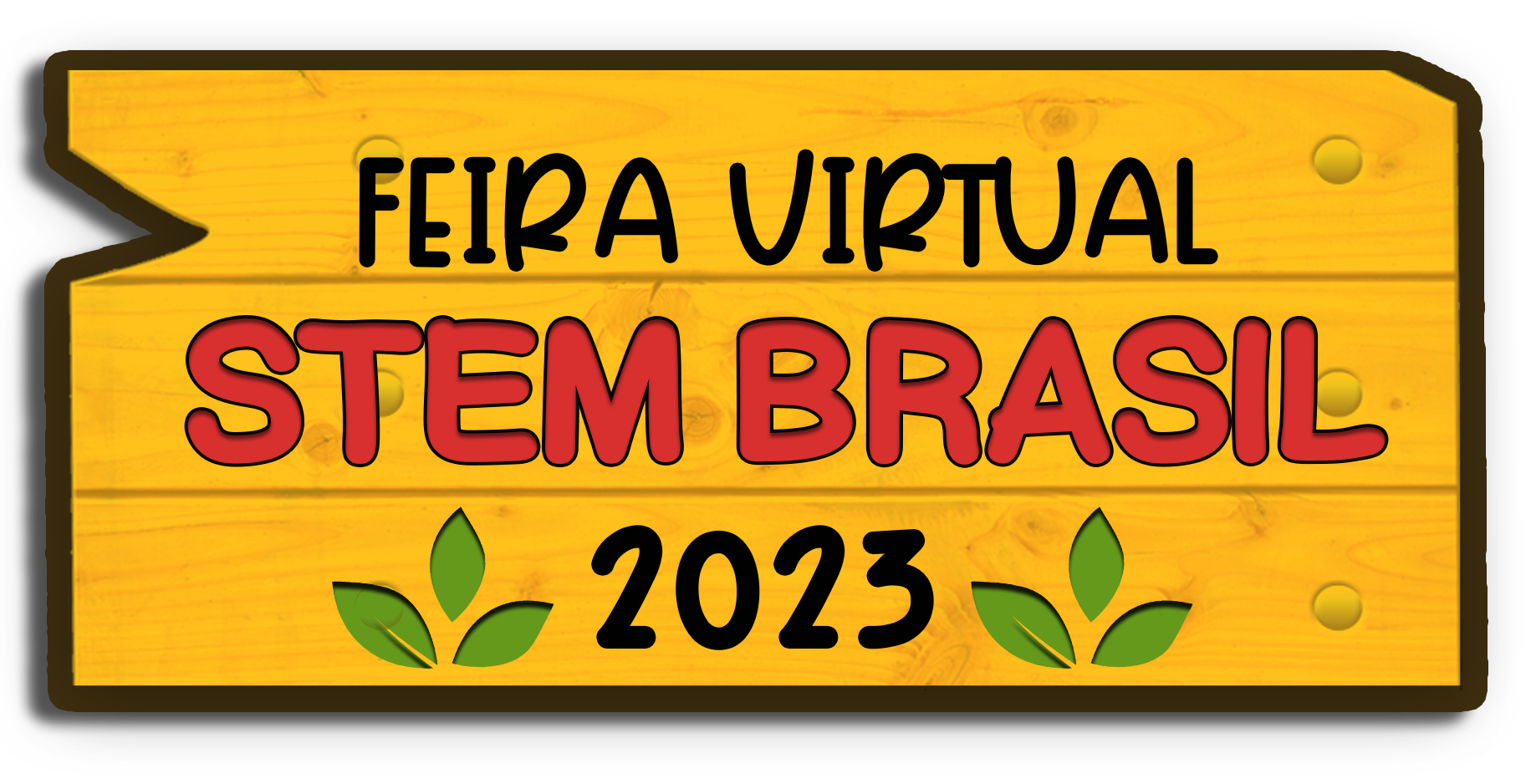 STEM Brasil